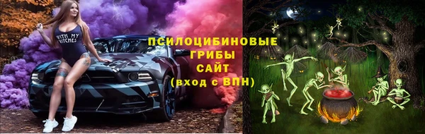 мдпв Дмитровск