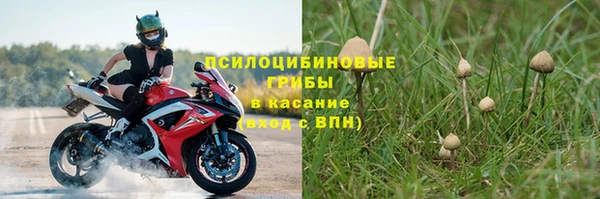 PSILOCYBIN Алексеевка