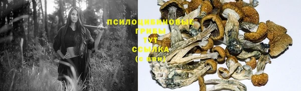 PSILOCYBIN Алексеевка