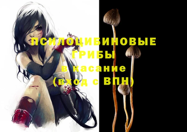 PSILOCYBIN Алексеевка