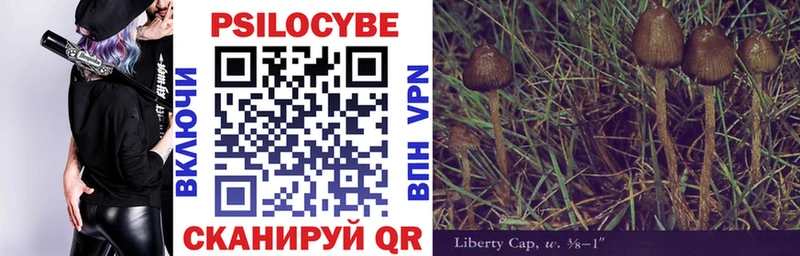 где можно купить Биробиджан Галлюциногенные грибы Psilocybe